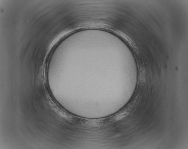 X0000081371078200702020159