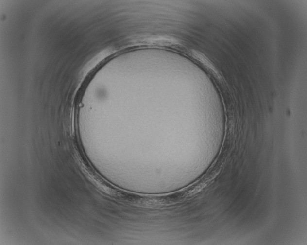 X0000081371079200702020159