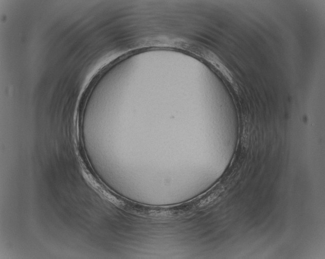 X0000081371080200702020159