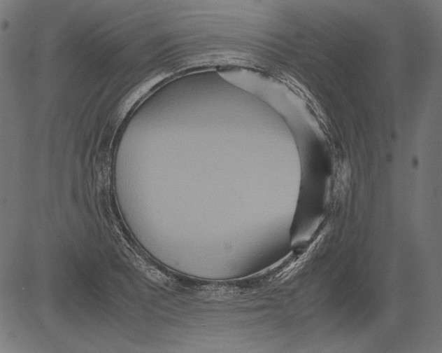 X0000081371081200702020159