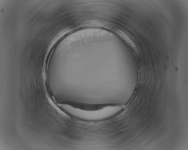 X0000081371084200702020159