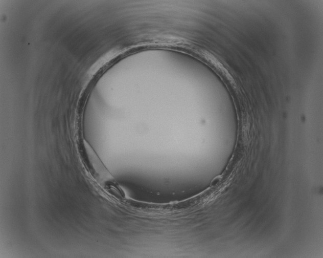 X0000081371085200702020159