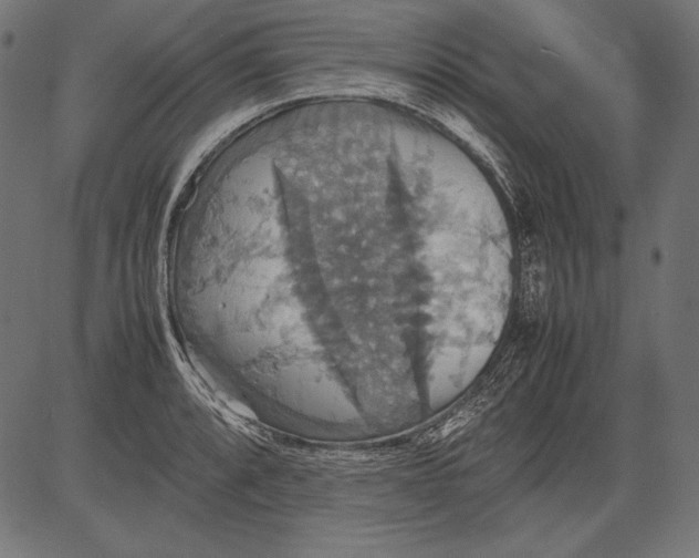 X0000081371088200702020159