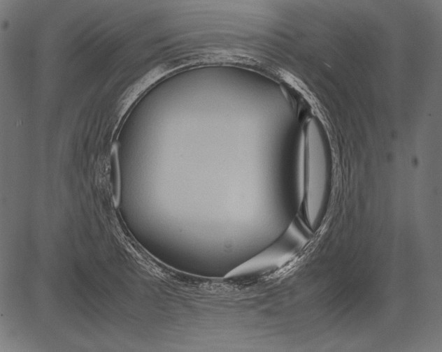 X0000081371089200702020159