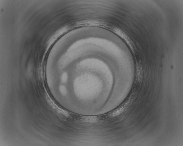 X0000081371090200702020159