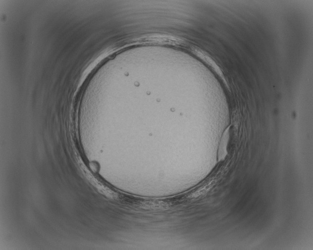 X0000081371091200702020159