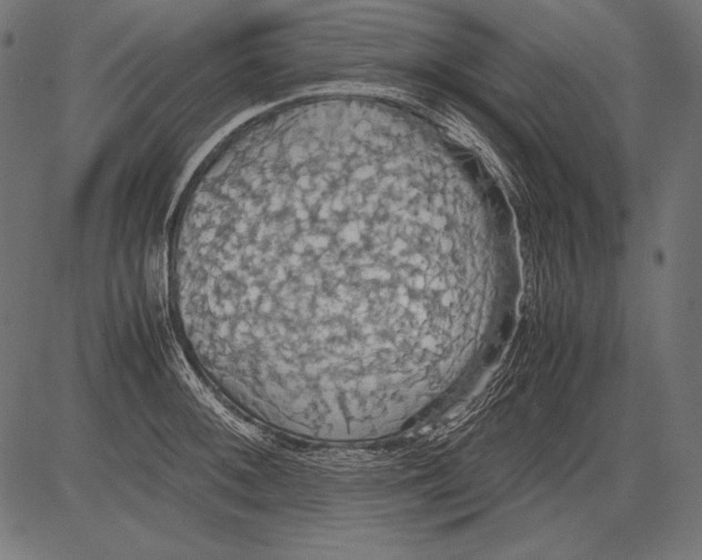 X0000081371092200702020159