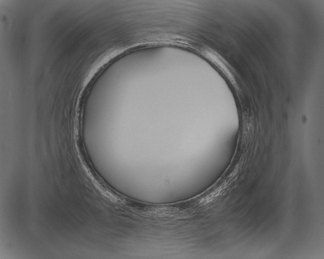 X0000081371093200702020159