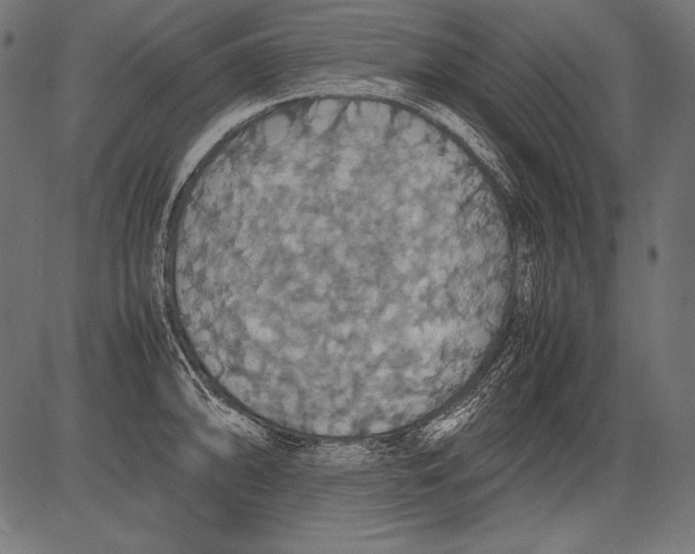 X0000081371094200702020159