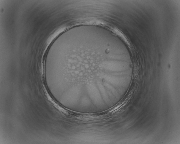 X0000081371095200702020159