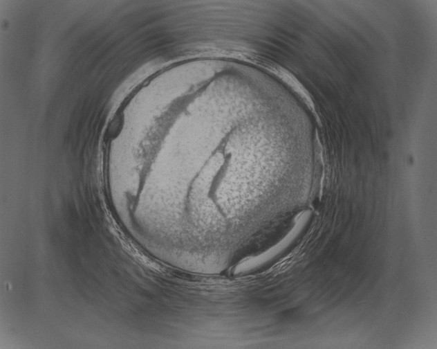 X0000081371096200702020159