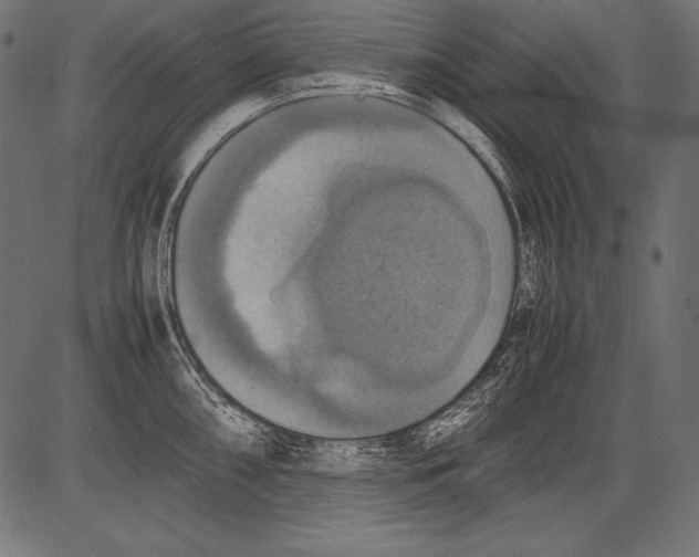 X0000081371098200702020159