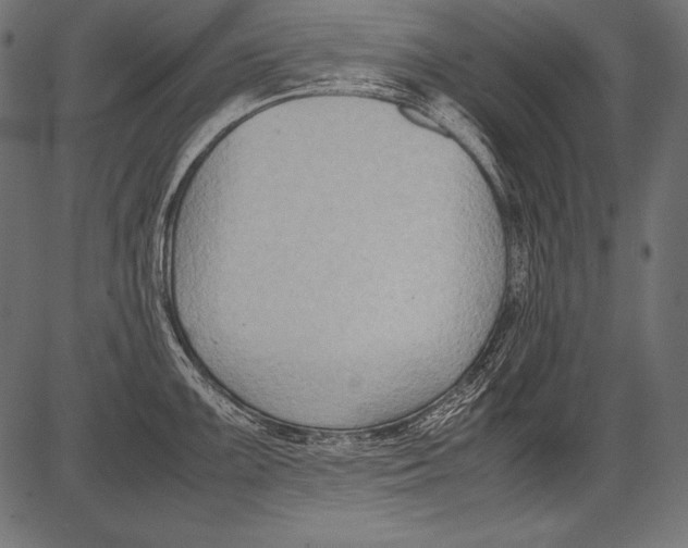 X0000081371099200702020159