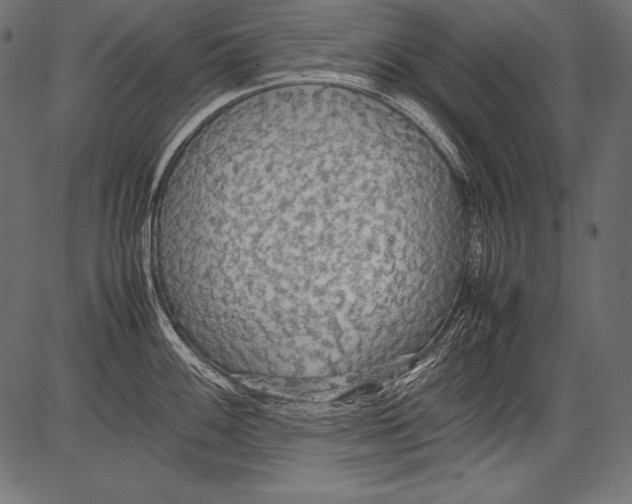 X0000081371100200702020159