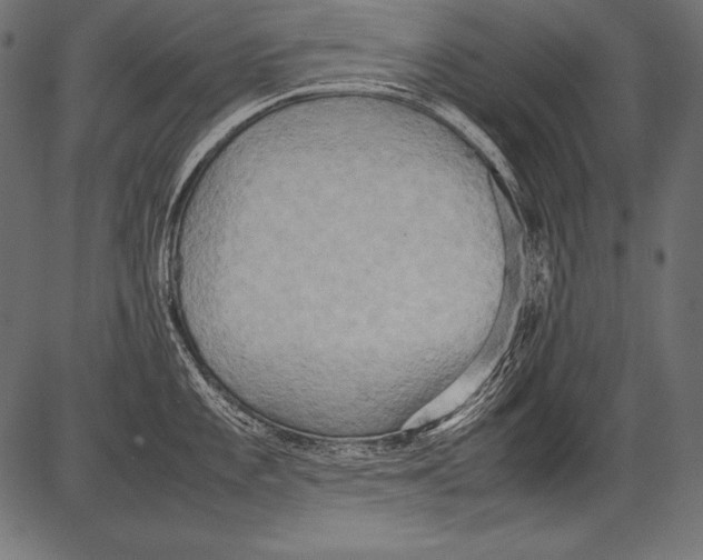 X0000081371101200702020159