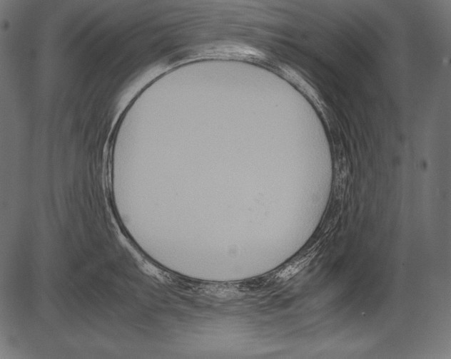 X0000081371103200702020159