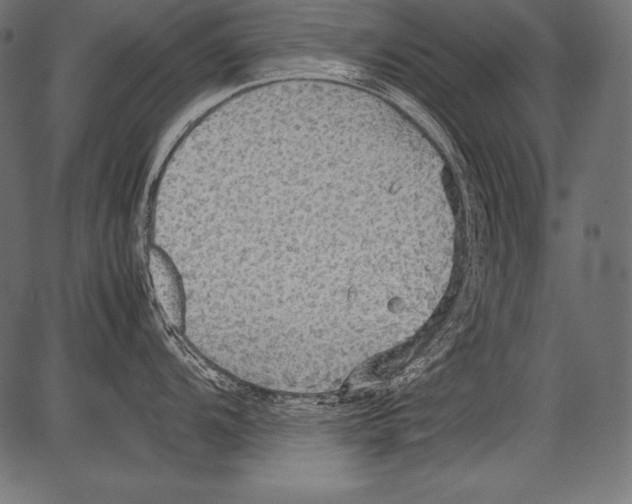 X0000081371104200702020159