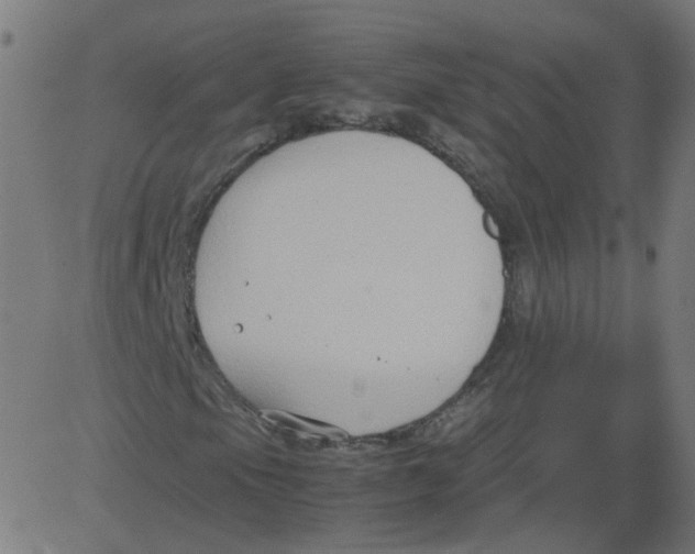 X0000081371105200702020158