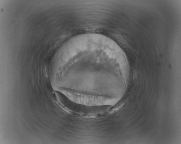 X0000081371106200702020158