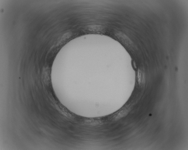 X0000081371107200702020158