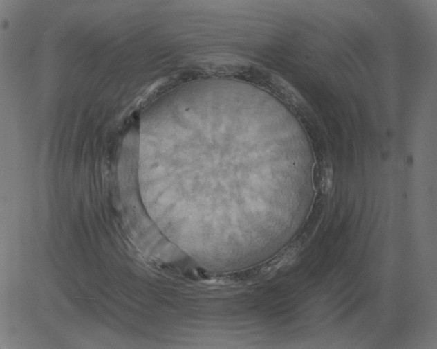 X0000081371108200702020158