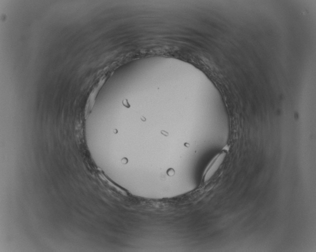 X0000081371109200702020158