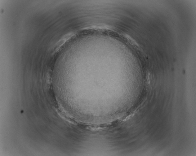 X0000081371110200702020158