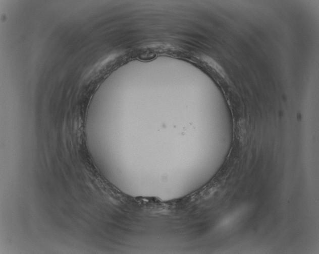 X0000081371111200702020158