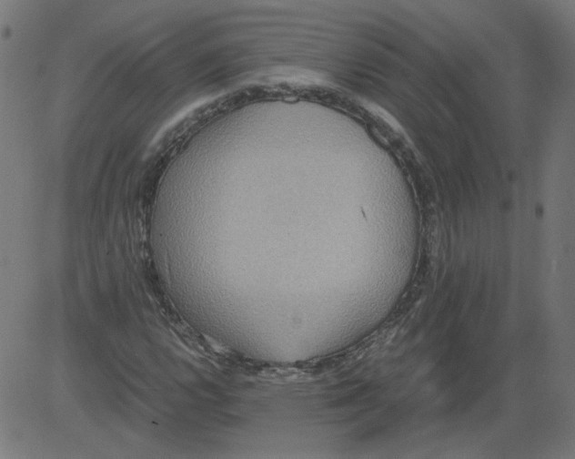 X0000081371112200702020158