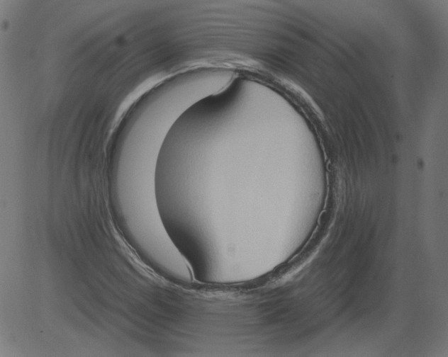 X0000081371114200702020158