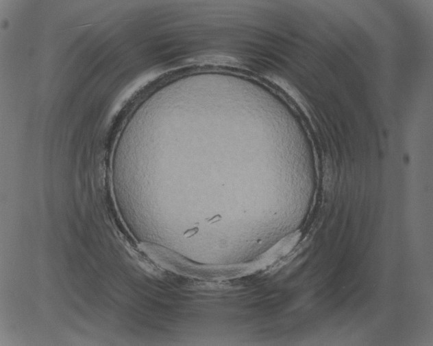 X0000081371115200702020158