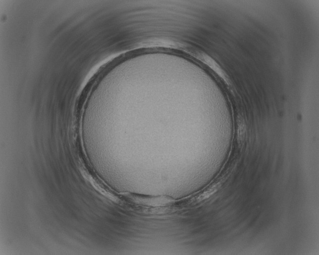 X0000081371116200702020158