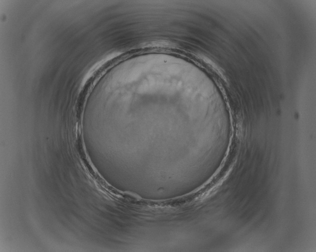 X0000081371117200702020158