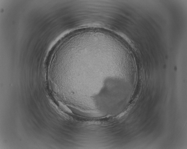 X0000081371118200702020158