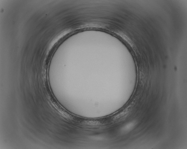 X0000081371119200702020158