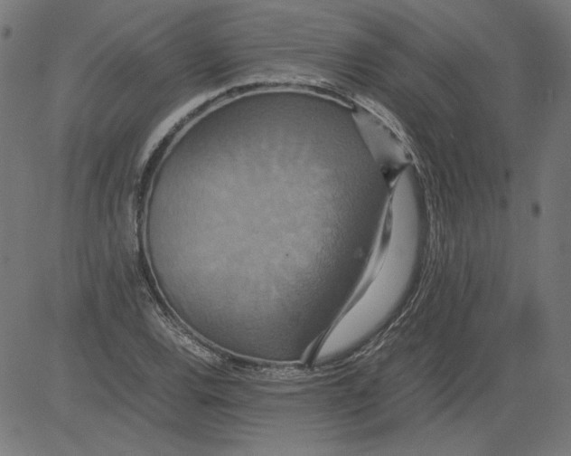 X0000081371120200702020158