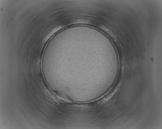 X0000081371121200702020158