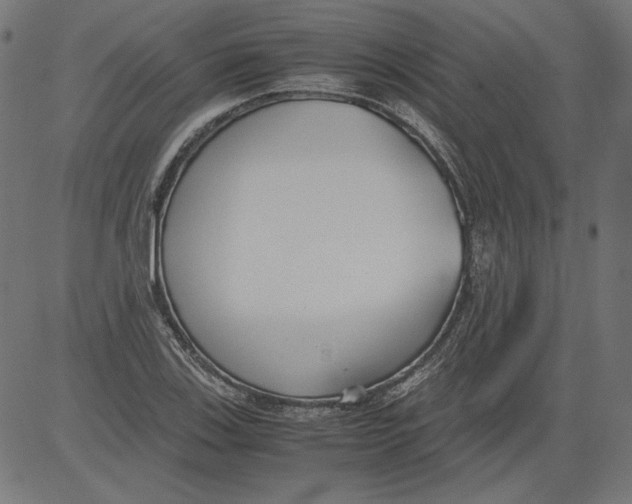 X0000081371123200702020158