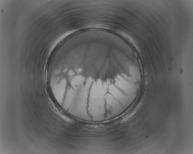 X0000081371125200702020158