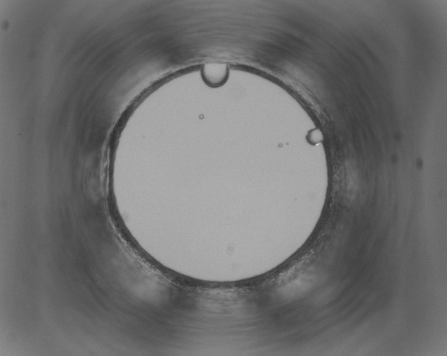 X0000081371126200702020158