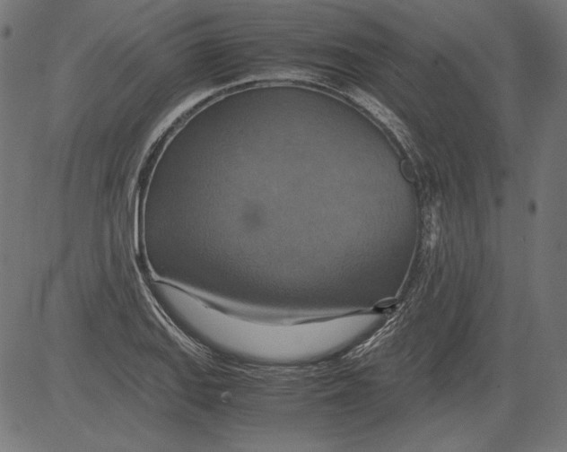 X0000081371127200702020158