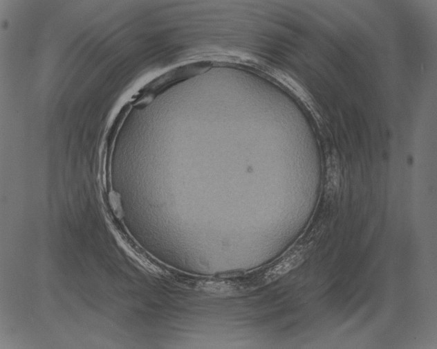 X0000081371128200702020158