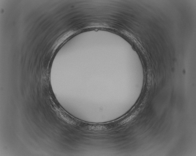 X0000081371129200702020158