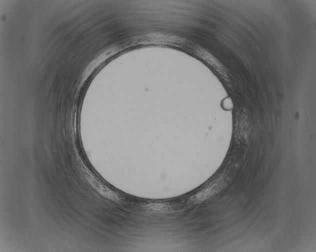 X0000081371130200702020158