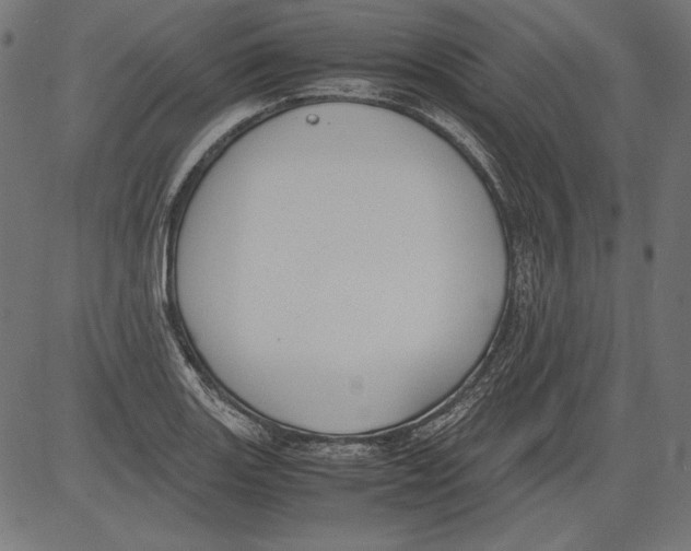 X0000081371131200702020158