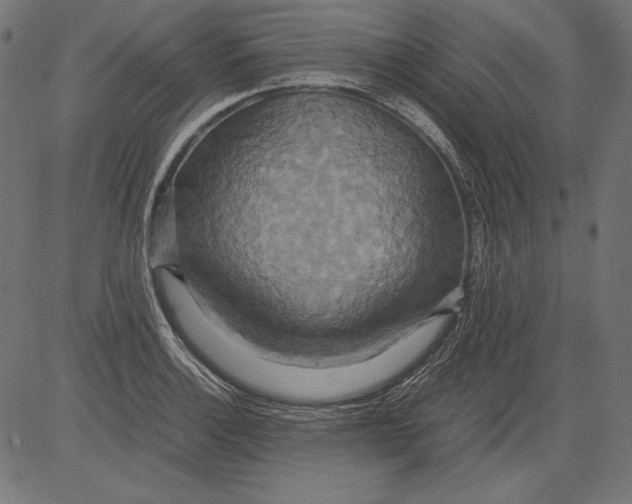 X0000081371132200702020158