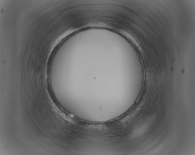 X0000081371133200702020158