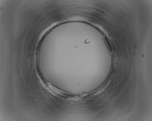 X0000081371134200702020158