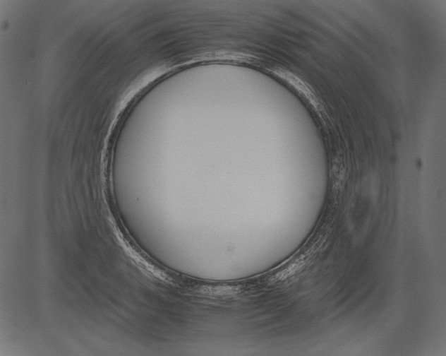 X0000081371135200702020158