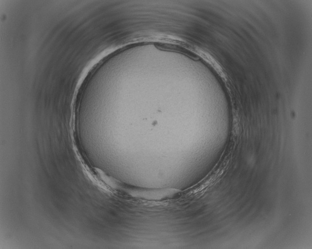 X0000081371136200702020158